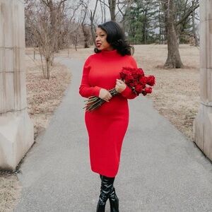 Express Red Turtleneck Sweater Dress